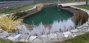 Návrh, výstavba a osazení rostlinami, zahradní koupací jezírko Rácov