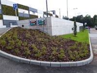 Parkové úpravy, výsadba zeleně, Krajská knihovna Havlíčkův Brod