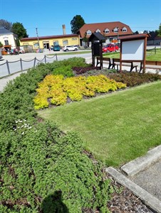 Výsadba keřů, stromů a zeleně, revitalizace náměstí Větrný Jeníkov,