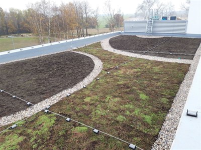 Zelená zahradní střecha na budově CPS v Havlíčkově Brodě