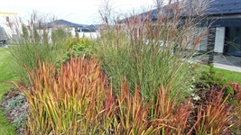 Realizace zahrady v Jihlavě – Terénní úpravy, protierozní opatření a výsadba zeleně