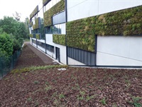 Sadové úpravy a zelená střecha v Havlíčkově Brodě