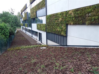 Sadové úpravy a zelená střecha v Havlíčkově Brodě