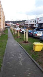 Sadové úpravy v Kostelci u Jihlavy – Výsadba trávníků, zeleně a vybudování mlatového chodníku
