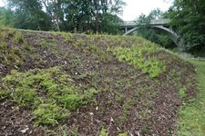 Parkové úpravy, výsadba trávníku a okrasné vegetace Jihlava